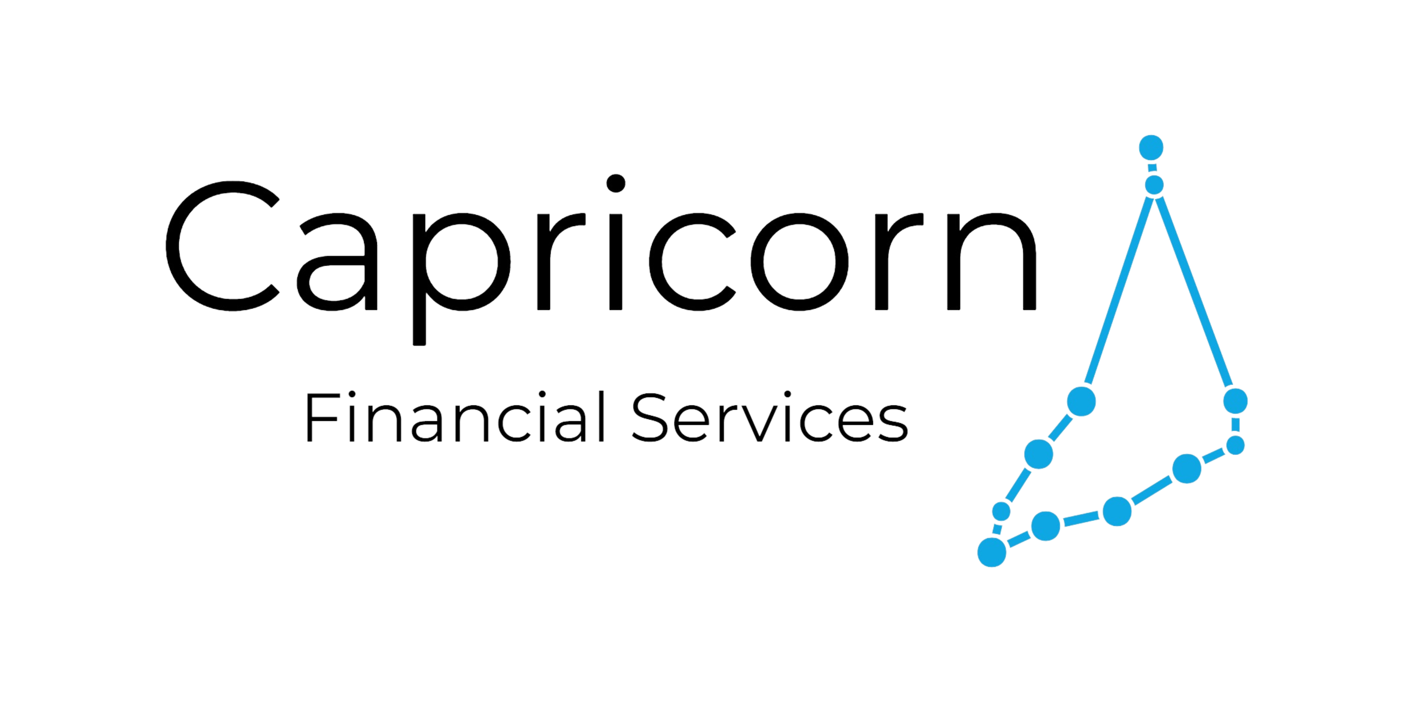 Capricorn Financial Services